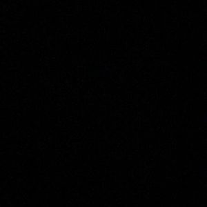 Meet your Posher, Ally